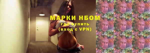 гашик Алзамай