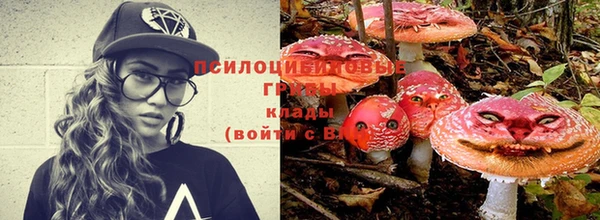 ALPHA PVP Алексин