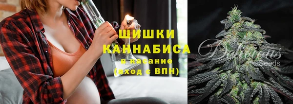 гашик Алзамай