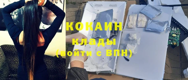 гашик Алзамай