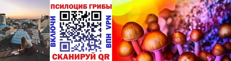 цена   Венёв  Галлюциногенные грибы прущие грибы 
